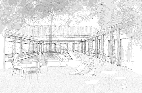 BOTANSISCHER GARTEN LINZ